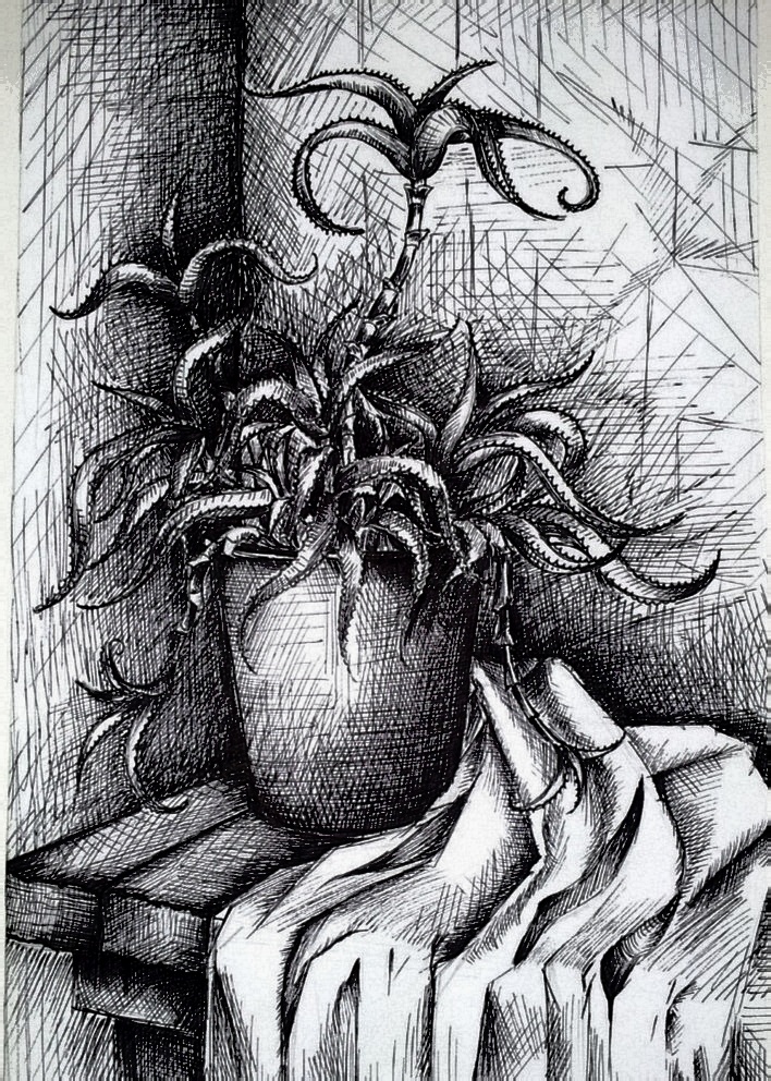 This is a pretty long title